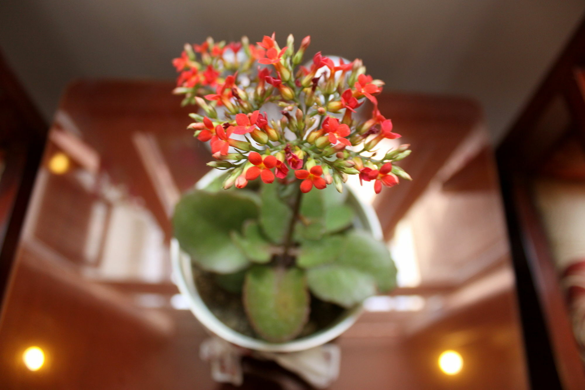 Green Coco Homestay Hoi An Exterior photo
